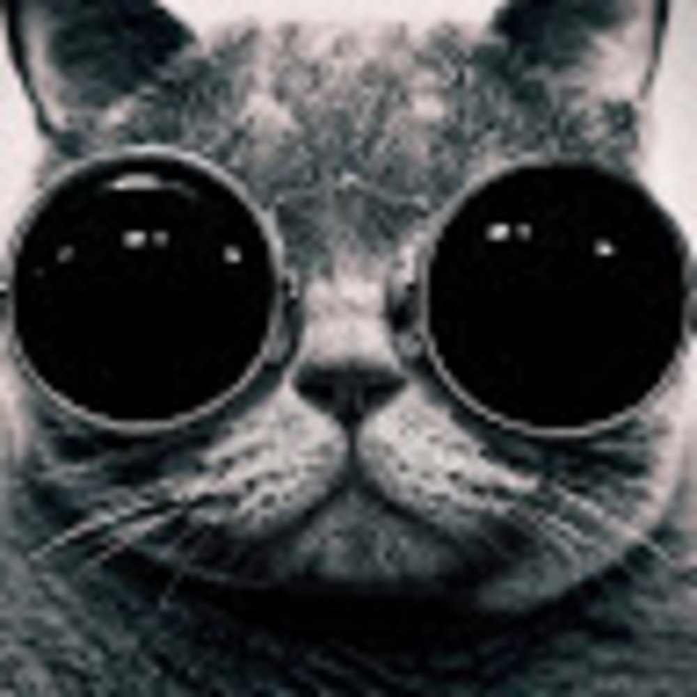 Meet your Posher, Krystal